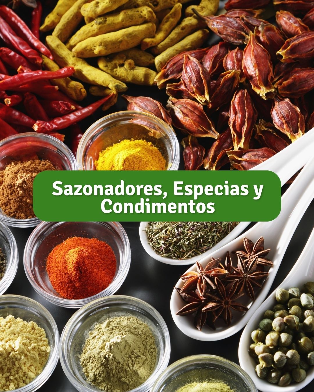 Sazonadores, Especias y Condimentos