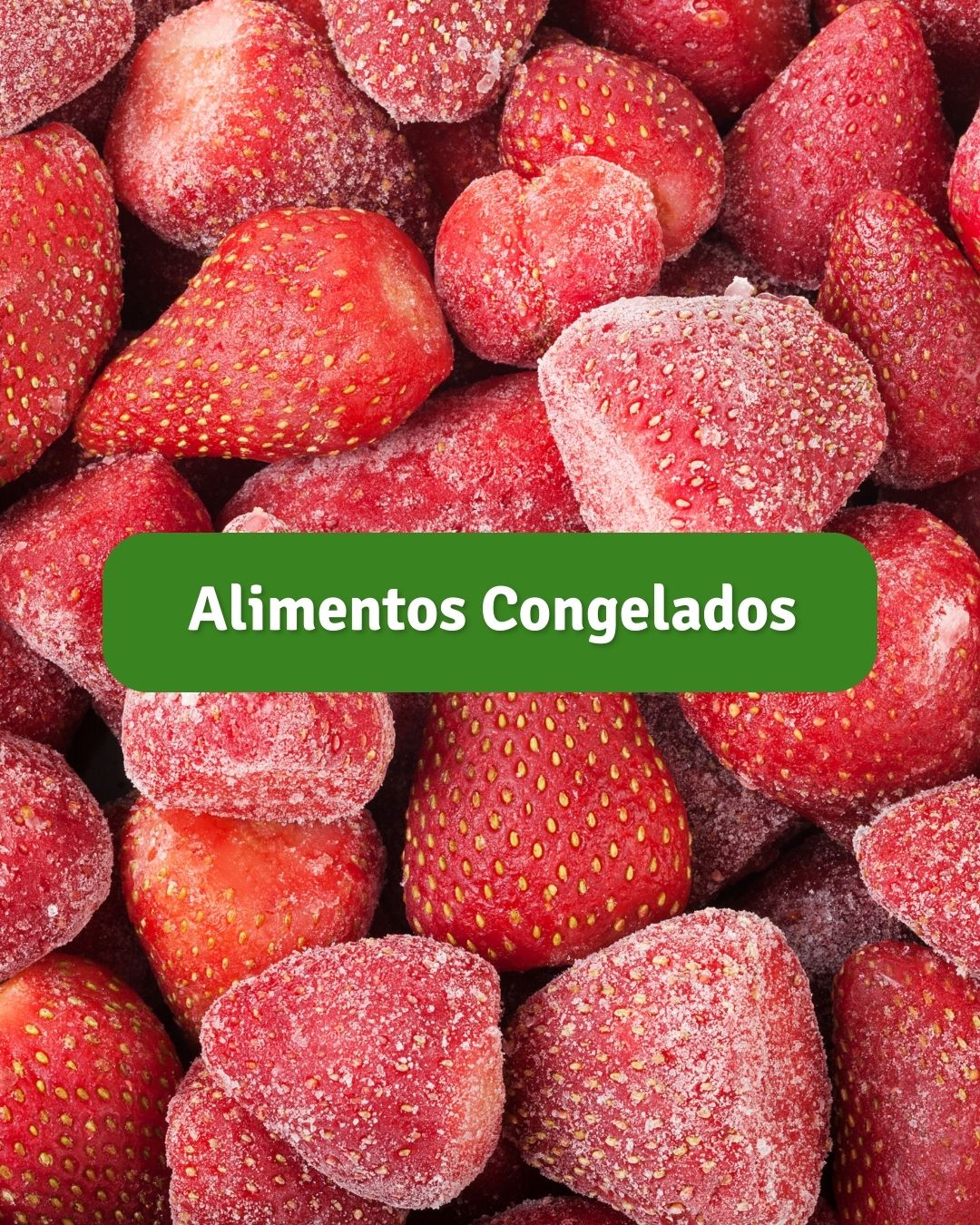 Alimentos Congelados