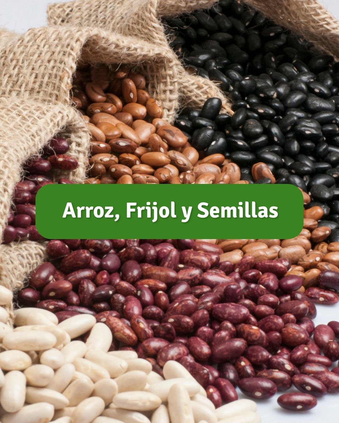 Arroz, Frijol y Semillas
