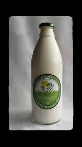 Chobani Yogurt Griego-Mora azul en el fondo