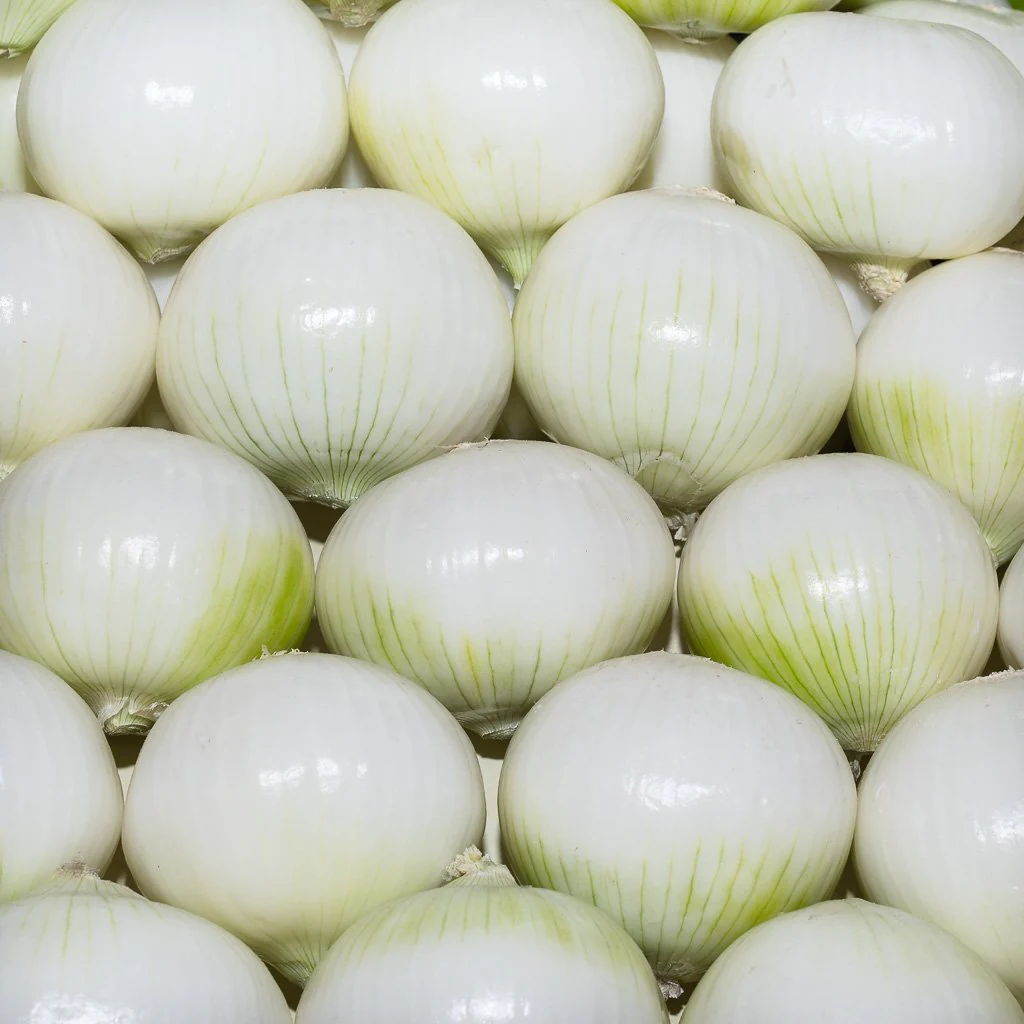 Cebolla Blanca por kilo