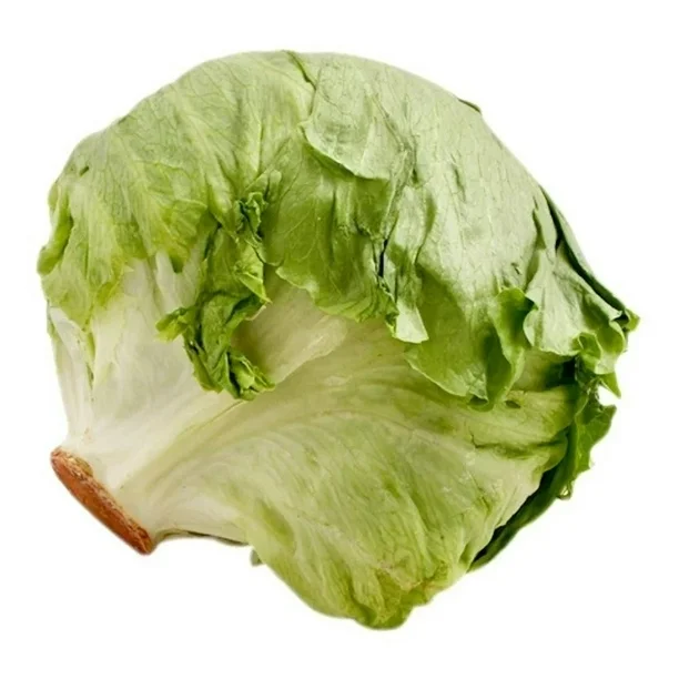 Lechuga romana por pieza