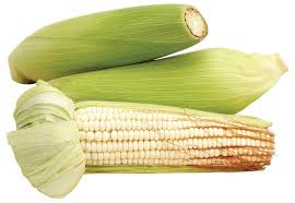 Elote blanco por pieza